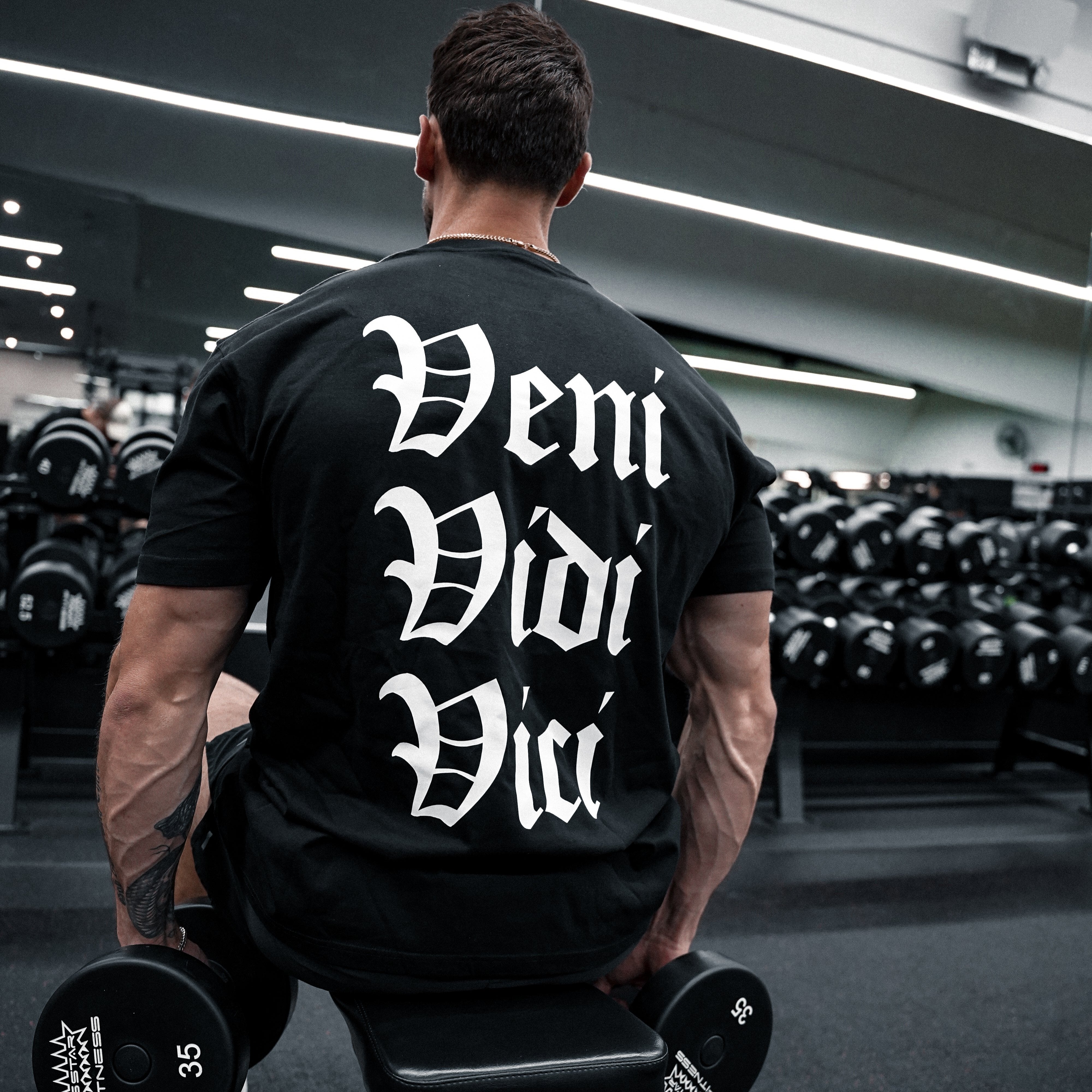 'VENI VIDI VICI' WORDMARK TEE