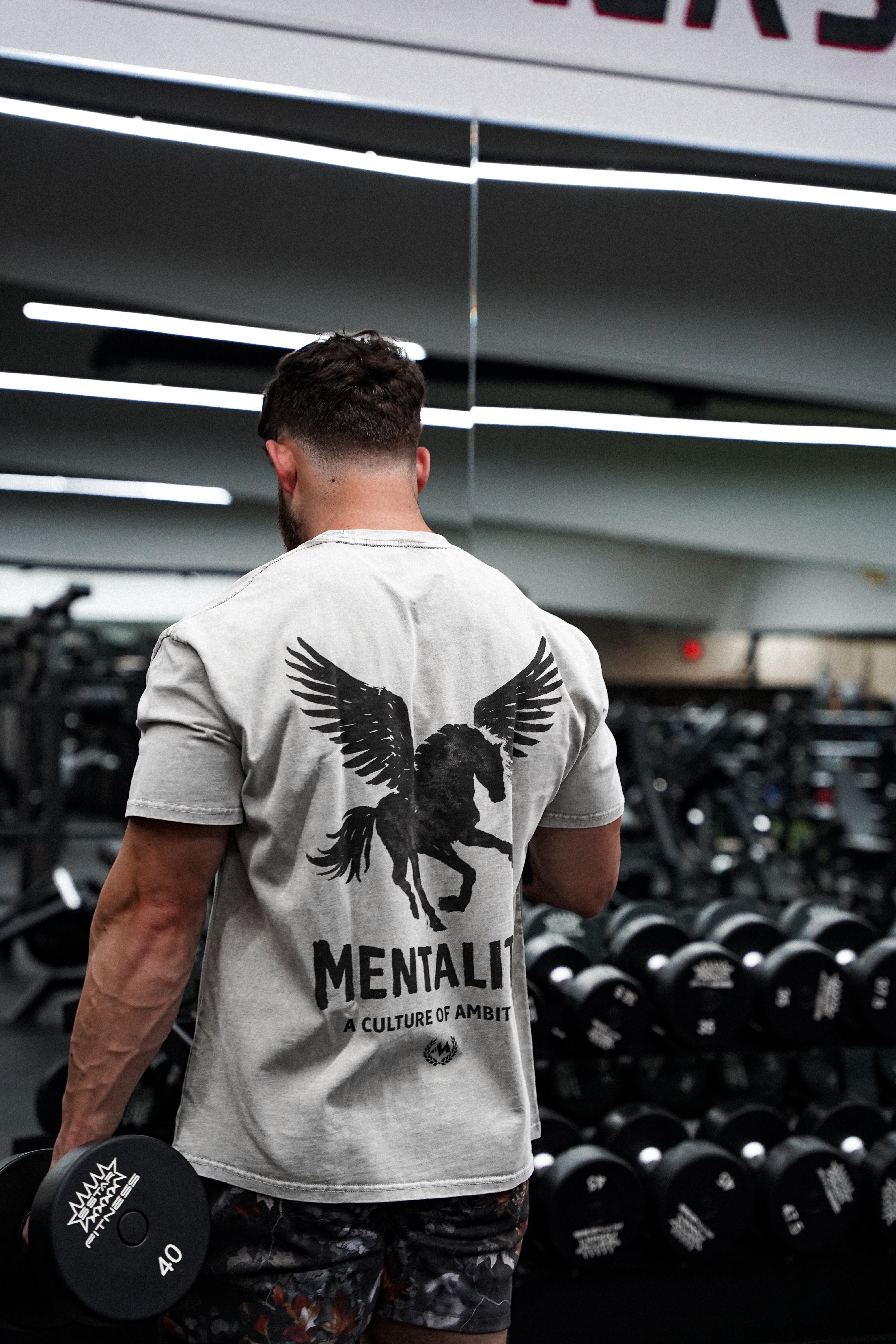 PEGASUS VINTAGE GRAY TEE