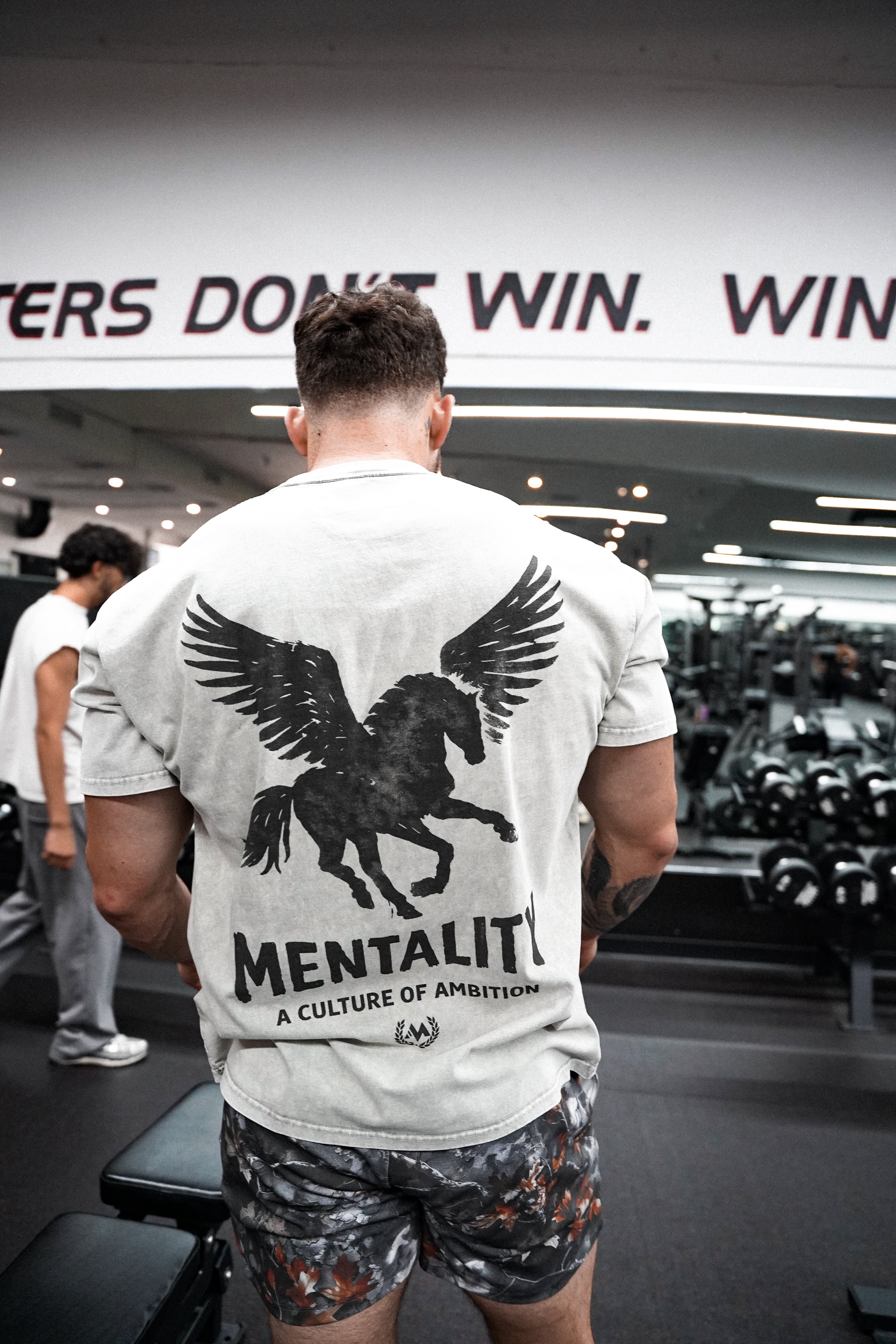 PEGASUS VINTAGE GRAY TEE