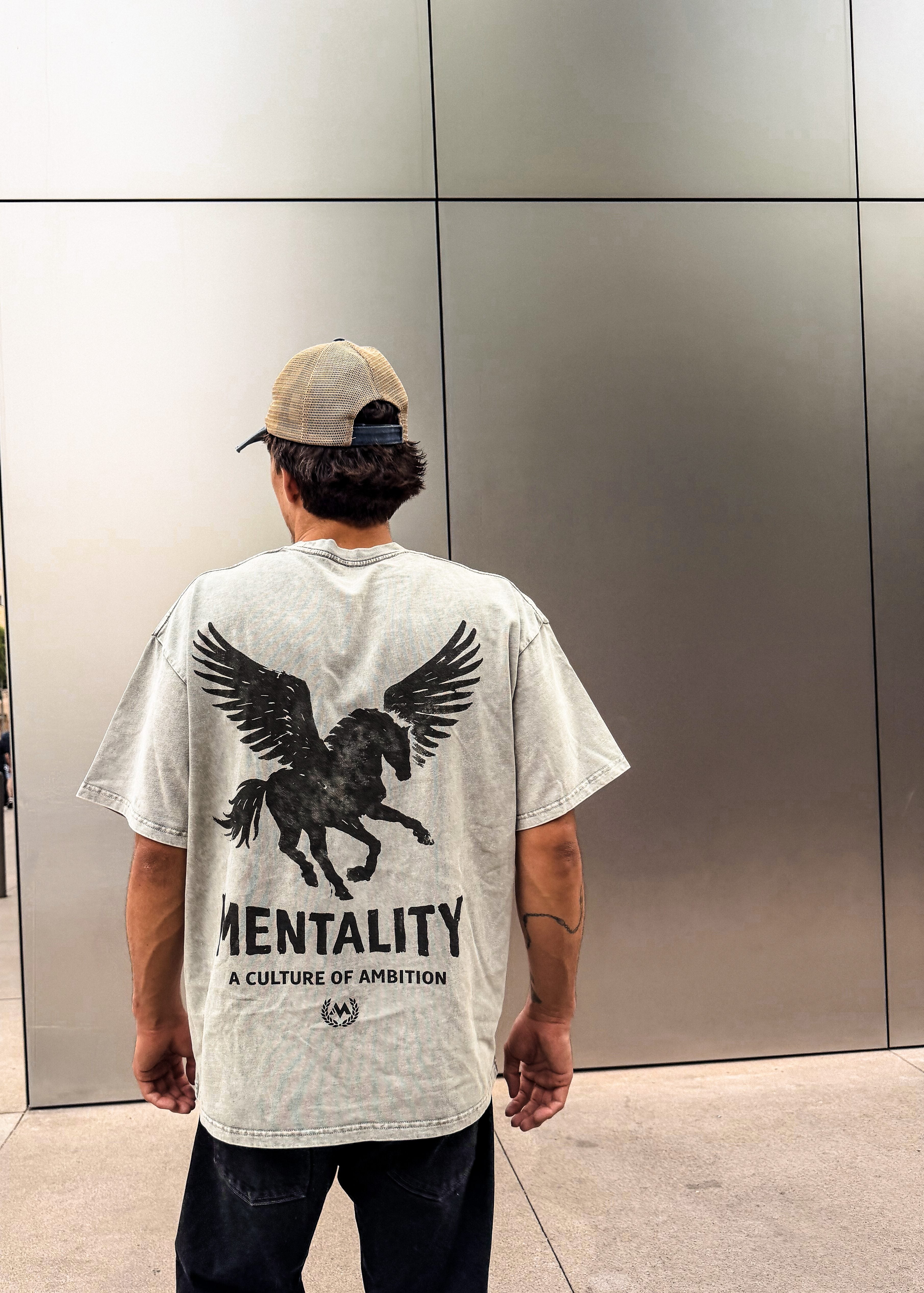 PEGASUS VINTAGE GRAY TEE