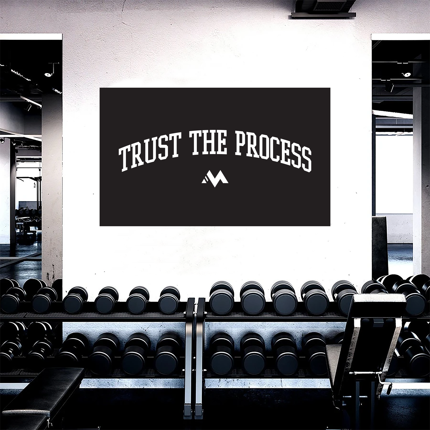 TRUST THE PROCESS FLAG