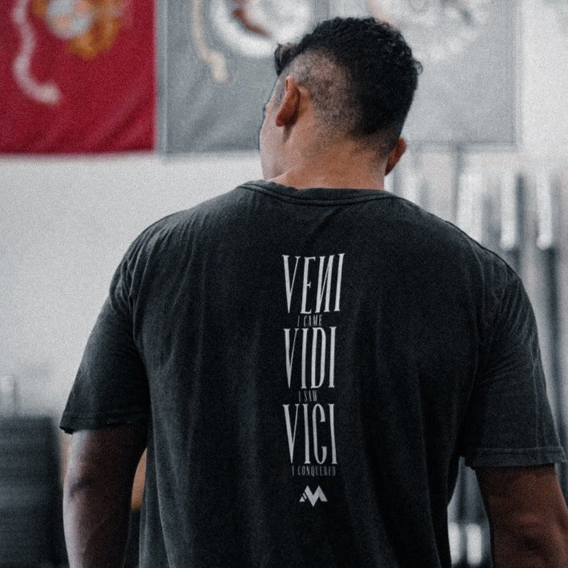 VENI VIDI VICI - VINTAGE TEE