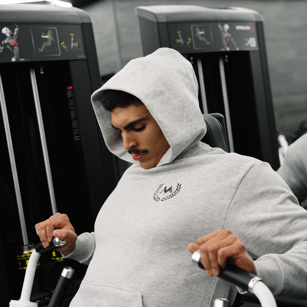 PEGASUS HOODIE - GRAY