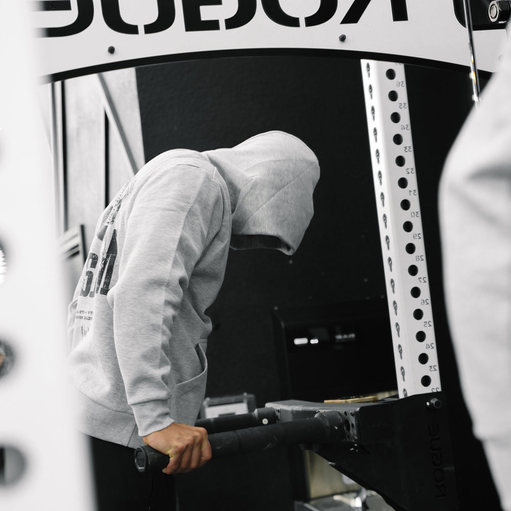 PEGASUS HOODIE - GRAY