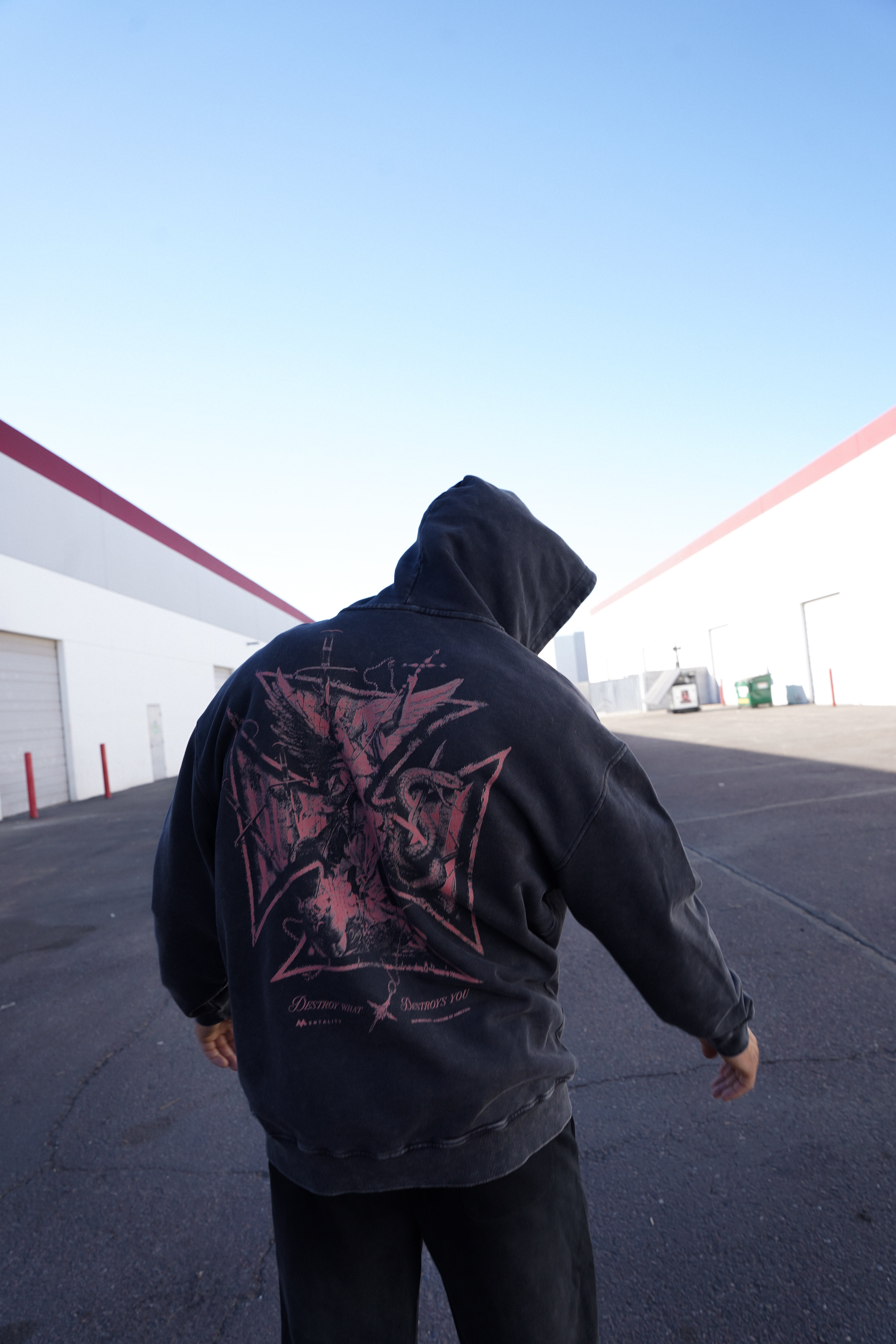 'DESTROY EVIL' HOODIE - VINTAGE