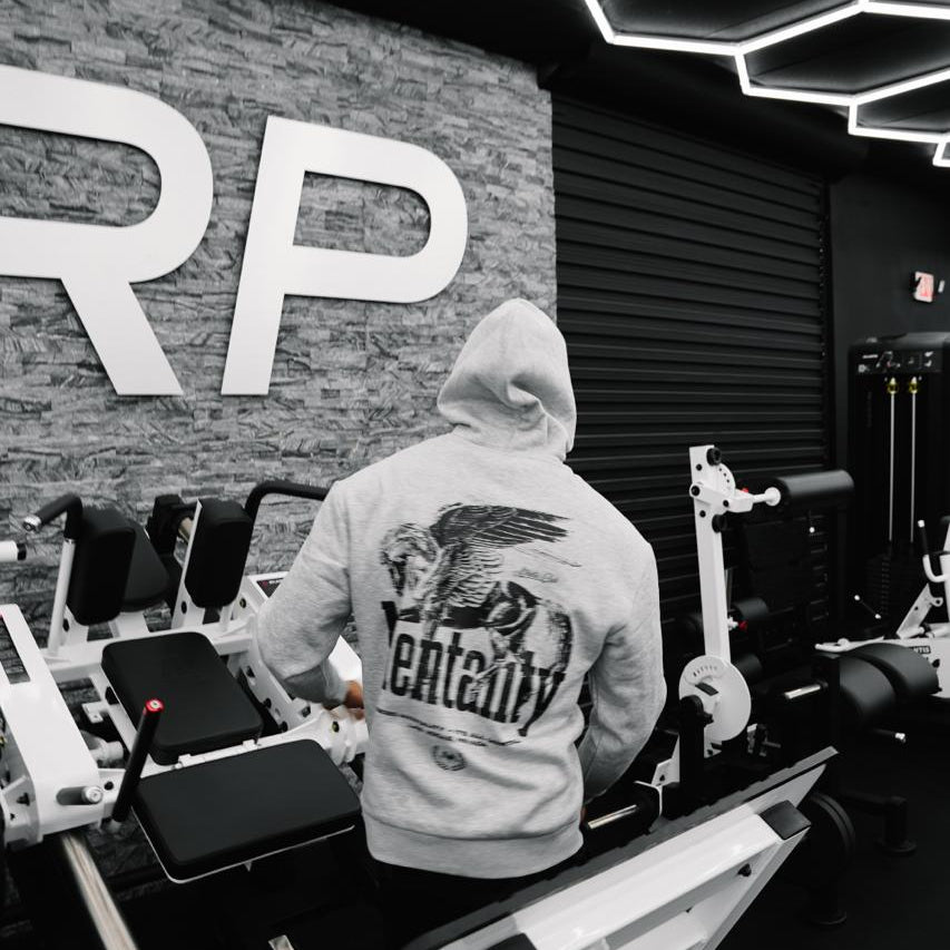 PEGASUS HOODIE - GRAY