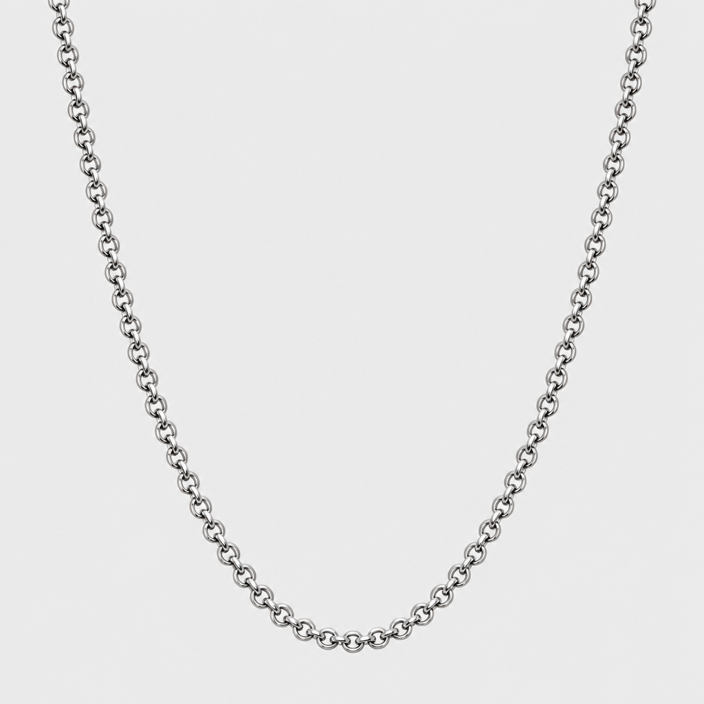 22" Silver Rolo Chain