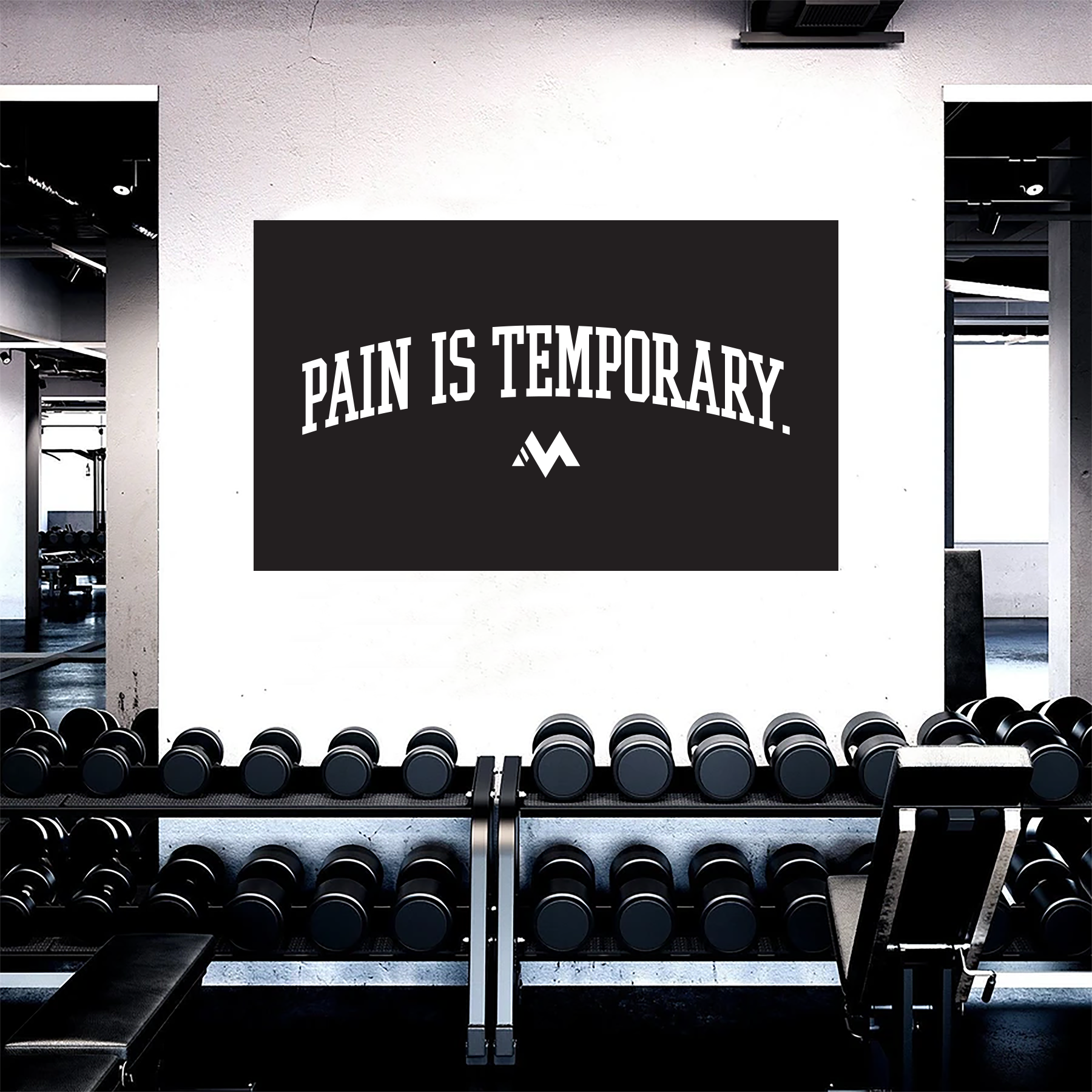 PAIN IS TEMPORARY FLAG