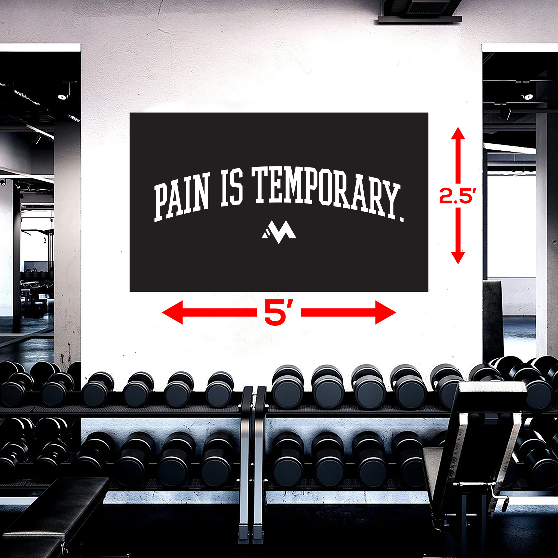 PAIN IS TEMPORARY FLAG